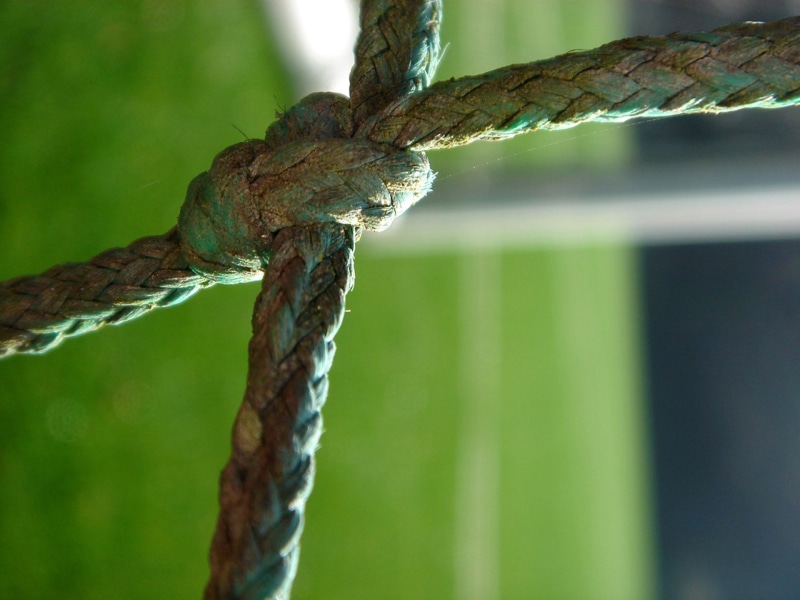 nature, strength, force, tree, tied up, plant, green color, day, metal, close-up, 1080P, node, rope, security, safety, tied knot, barbed wire, bond, rusty