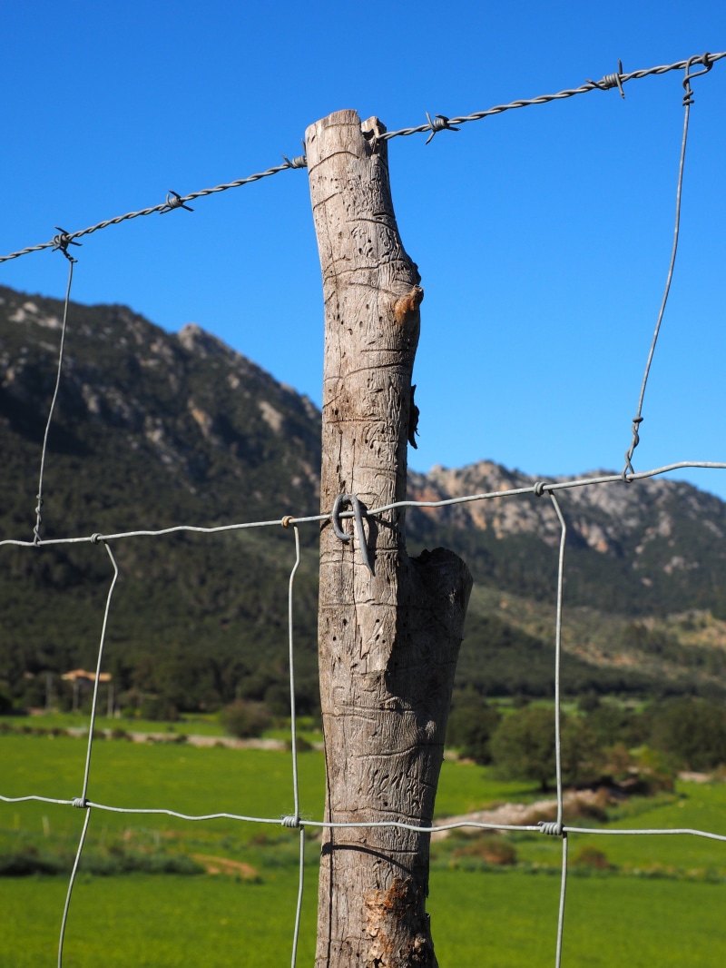 fenced, defense, barrier, demarcation, wildzaun, knotted mesh, pasture fence, mountain, sheep fence, nature, limit, safety, wildgatter, hanging, focus on foreground