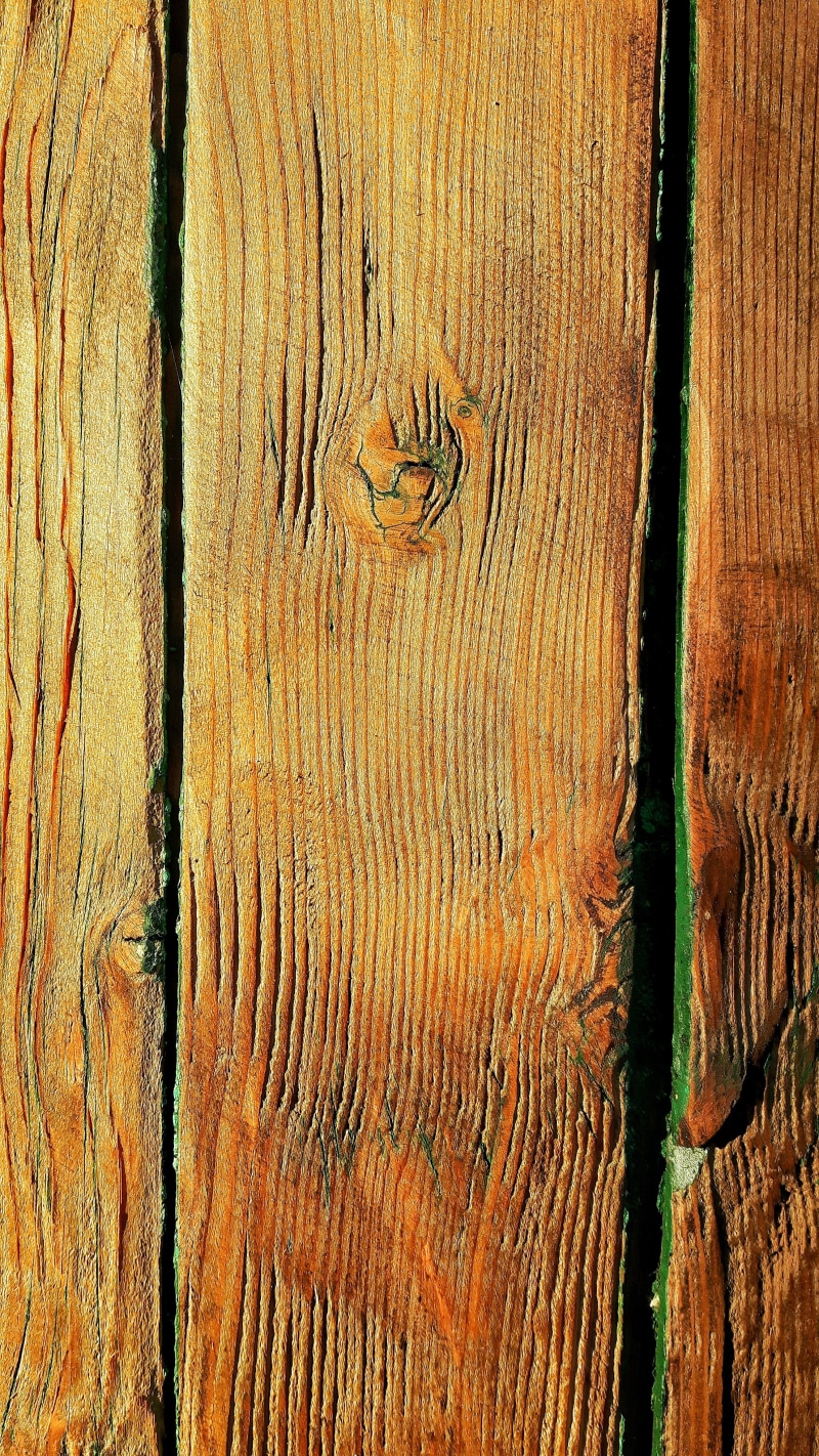tree trunk, texture, outdoors, 4K, natural pattern, day, no people, tree ring, node, axis, backgrounds, door, wood - material, old, full frame, close-up