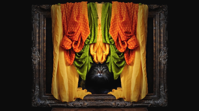 face, striped, 2K, composition, picture, nodes, matter, fabric, orange, frame, yellow, hanging, black background, curtain, grey, photoshop, green, vintage