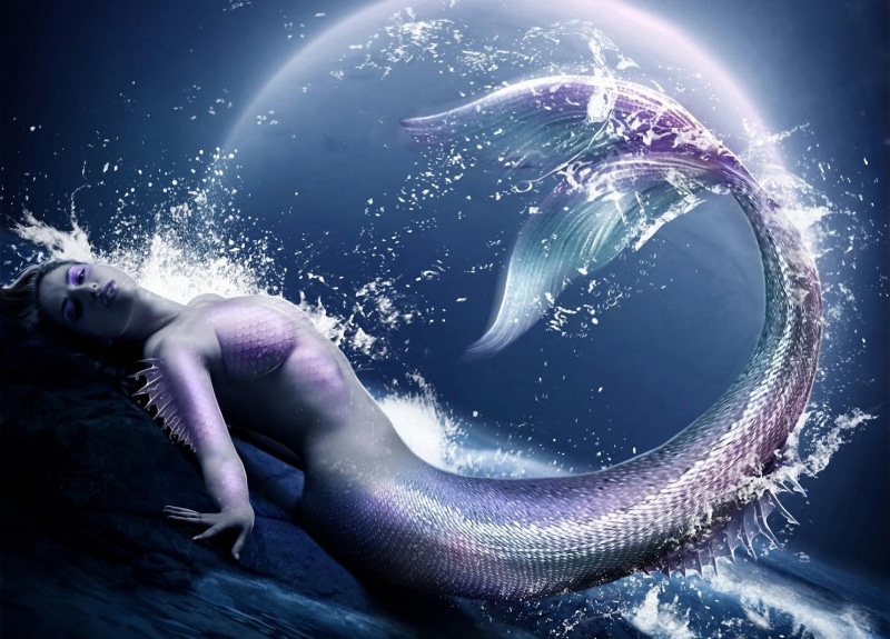 underwater, women, young Adult, sea, mermaid, beauty, diving Into Water, sport, beauty in nature, splashing, below, adult, motion, undersea, caucasian Ethnicity