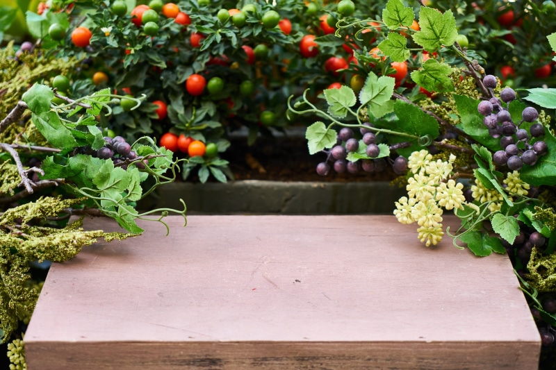 nobody, wooden, flowers, leaves, fruit, decoration, outdoor, flower pot, ripe, perspective, the leaves are, color, chlorophyll, brown, green color, beauty