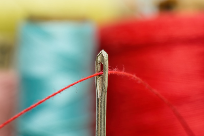fabric, yarn, one animal, metal, schneider, sewing, hobby, color, animal body part, macro, nature, selective focus, insect, animal wildlife, animals in the wild