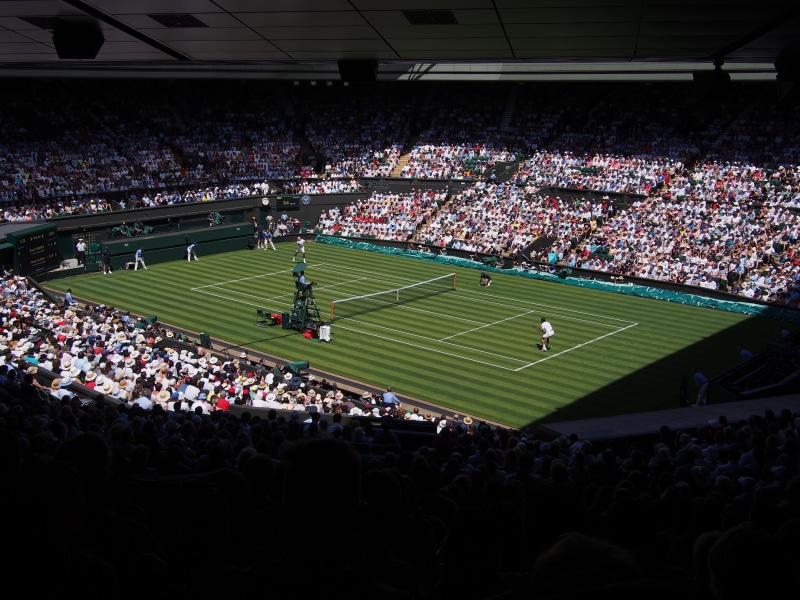 red, winning, 4K, excitement, sports Venue, success, playing, sports Track, summer, grass, person, sport, crowd, sports Race, england, arena, soccer, fan - Enthusiast