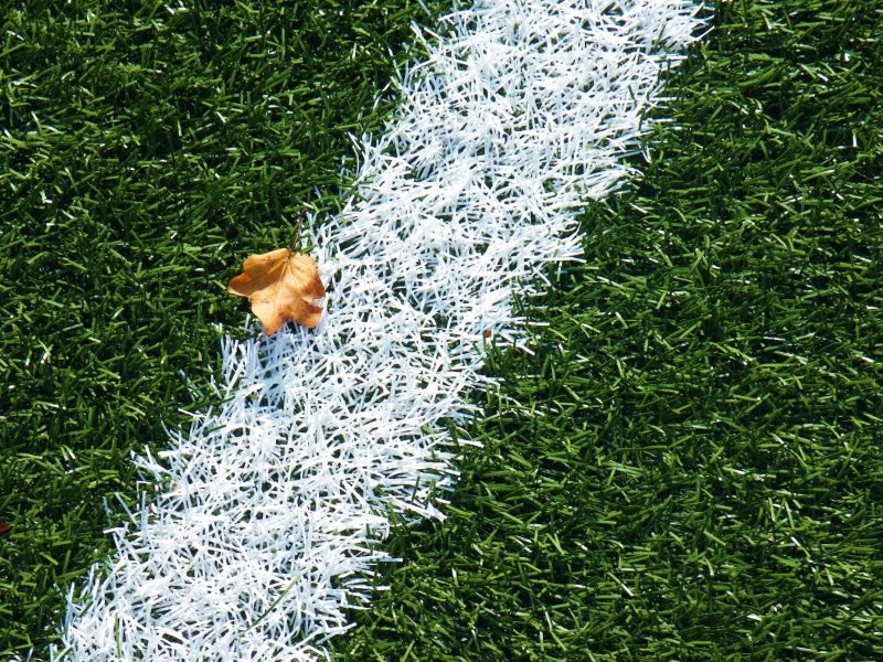 domestic animals, white, football, animal themes, dog, sports ground, stadium, center line, land, plant, leaf, penalty area, outdoors, green, caption, 2K