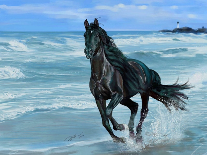 1080P, beauty, gorgeous, beautiful, black, run, animals, horse