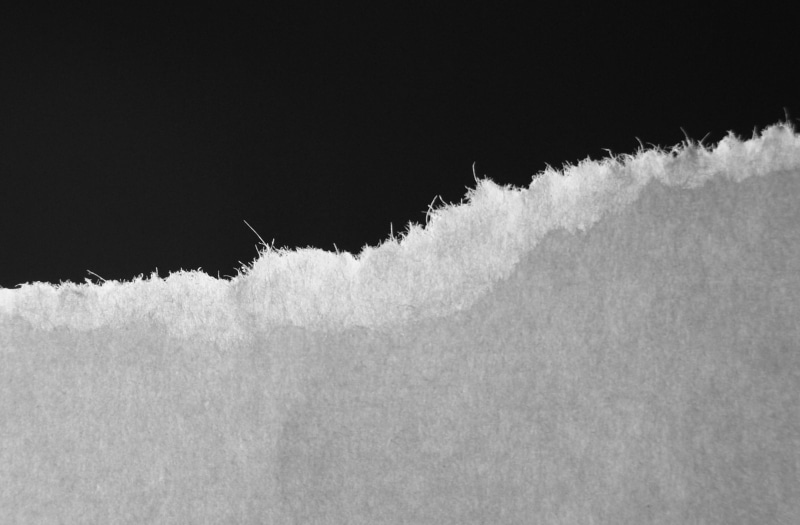 pen, ruptured, tree, nature, ice, white, fragile, fiber, focus on foreground, full frame, copy space, macro, paper, backgrounds, winter, black background