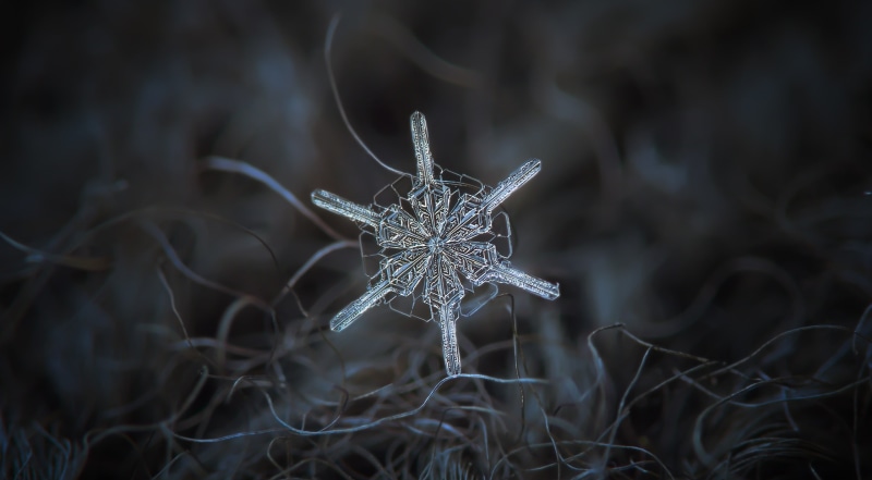 Snowflake, Fractal, 2K, microscope, Winter, unique, Photography, Macro, Real, fragile, Small, detail, Aero, Cold, fragility, Background, depth of field