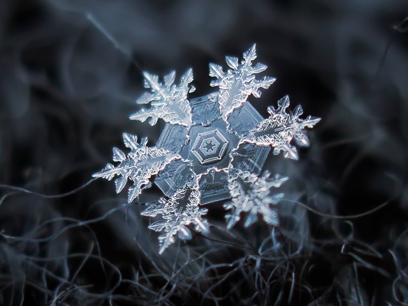 crystal  symmetry, structure, isolated, transparent, shape, ornate, darkside, abstract, canvas, black, winter, fragile, elegant, background, outdoor, decorated