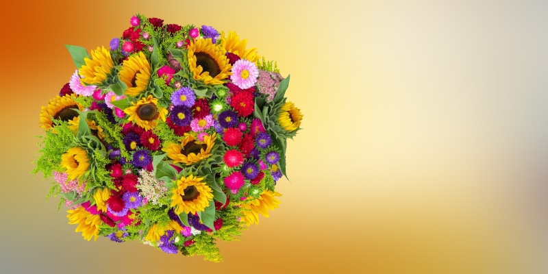thank you, bridal bouquet, wedding bouquet, orange background, love, autumn, no people, beauty in nature, floral pattern, colored background, fragility