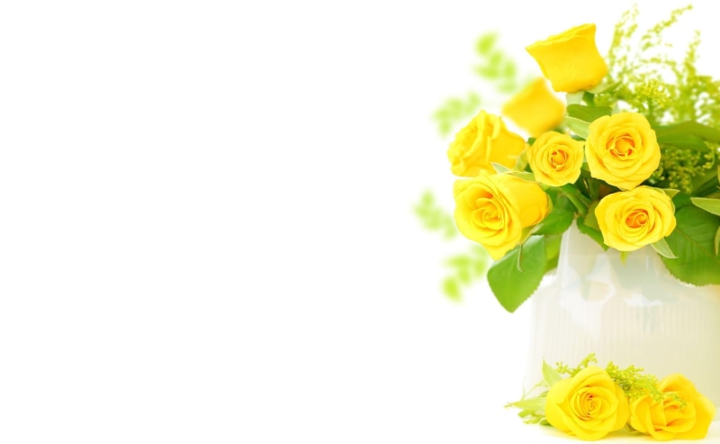 freshness, 2K, elegance, flower Head, roses, rose, no People, bright, leaf, flowers, flowering plant, bouquet, gift, rose - Flower, day, plant, yellow
