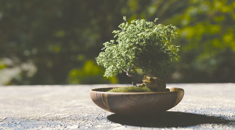 freshness, bonsai tree, flower pot, Artistic, three-dimensional, 4K, plant part, focus on foreground, nature, 3DArt, 3DComputerGraphics, no people, selective focus