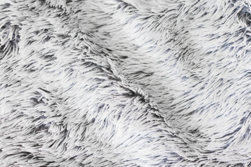 Blanket, White, white color, Pile, animal, abstract, animal themes, full frame, background, room for text, extreme close-up, fur, indoors, 4K, Soft, animal hair