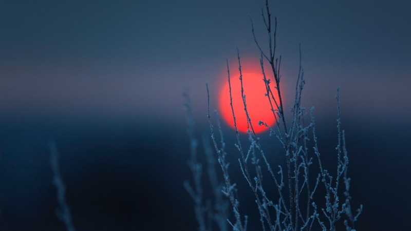 simple, 1080P, frost, winter, landscape, blue, nature, macro, clear sky, branch, minimalism, sunset, Sun, depth of field, plants