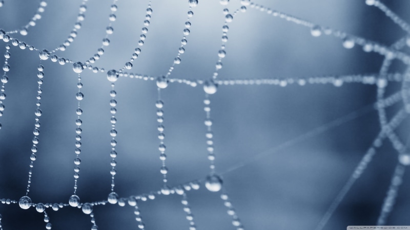 macro, extreme close-up, spiderweb, drop, focus, web, studio shot, close-up, wet, equipment, textile, selective focus, blue, abstract, technology, spider Web