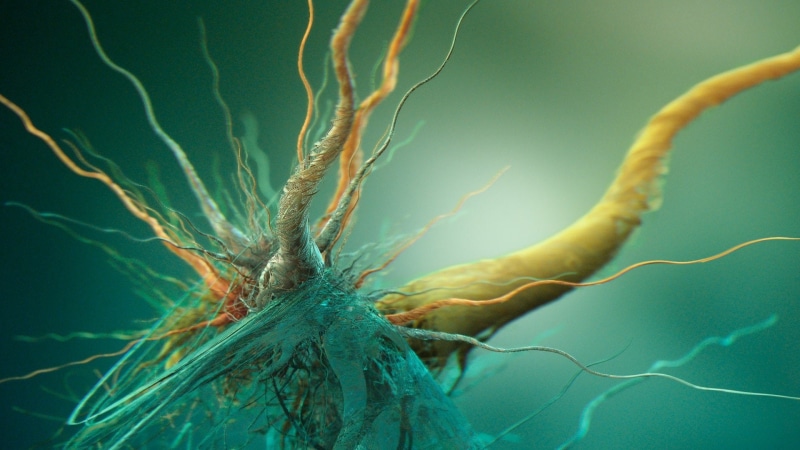 abstract, 1080P, neurons