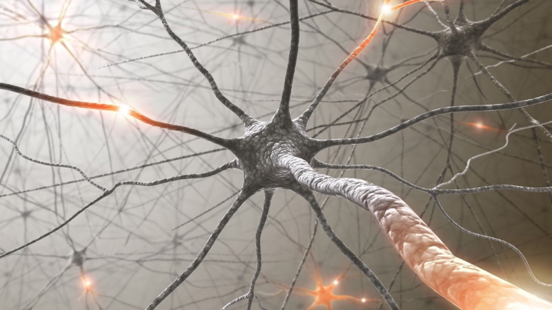 Neuron, Artistic, 1080P