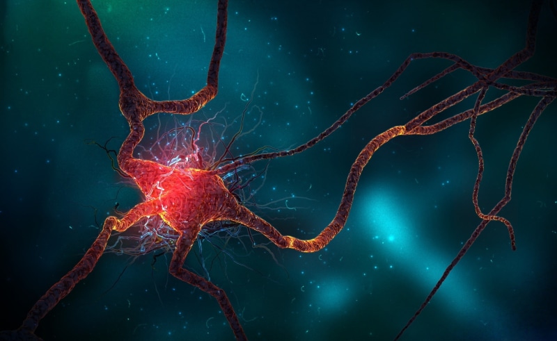 invertebrate, turquoise colored, close-up, water, beauty in nature, black, one animal, animal wildlife, animal themes, nerve, night, Neuron, nature, 3D