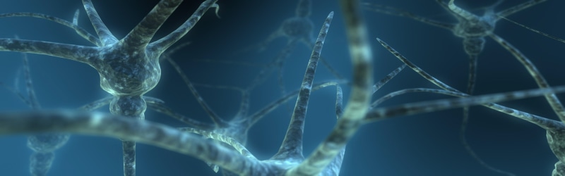 4K, dual, neurons, blue, screen, abstract