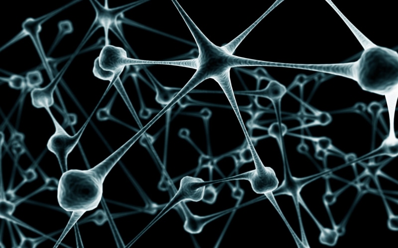 neurons, science, black, fractal, abstract, 3D, digital art, 1080P