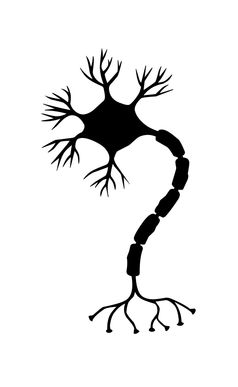 human representation, paper, nervous system, arts culture and entertainment, ribosome, synapse, creativity, activity, copy space, neuron, 4K, male likeness