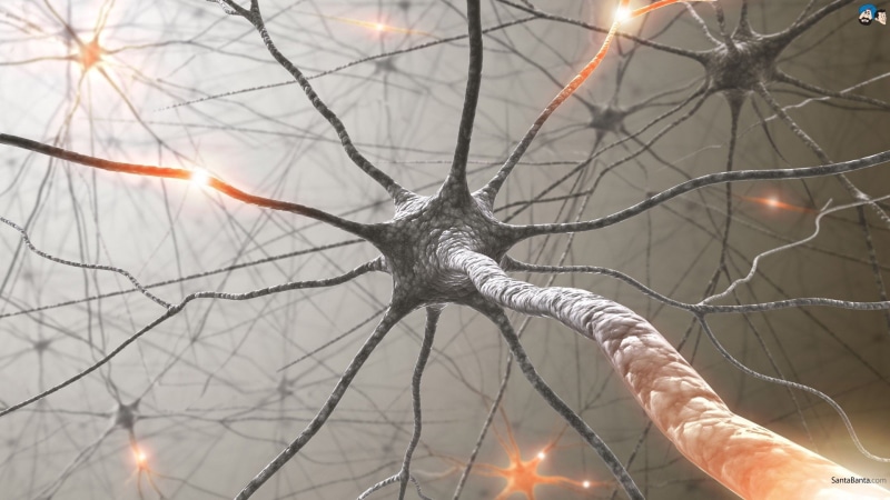 1080P, neurons