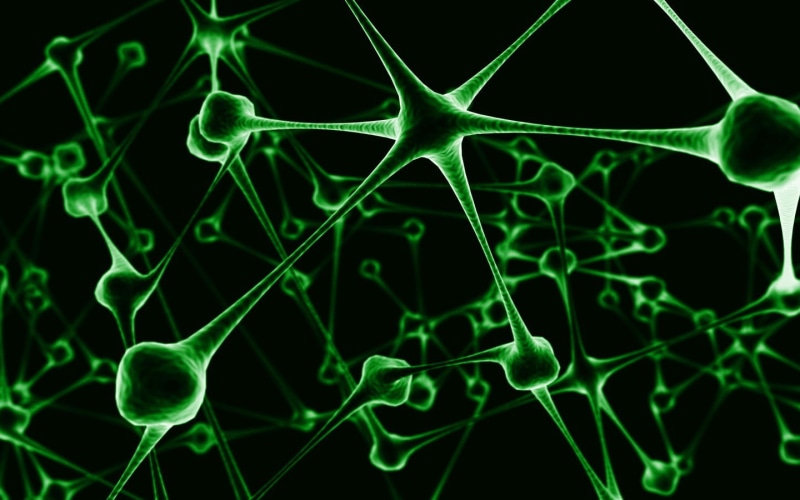 720P, neuron