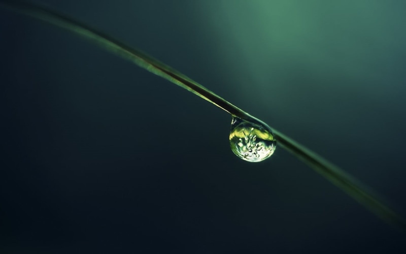 water drops, rain, purity, blade of grass, bright, 720P, leaf, nature, bubble, dew, environment, environmental Conservation, reflection, plants, studio shot