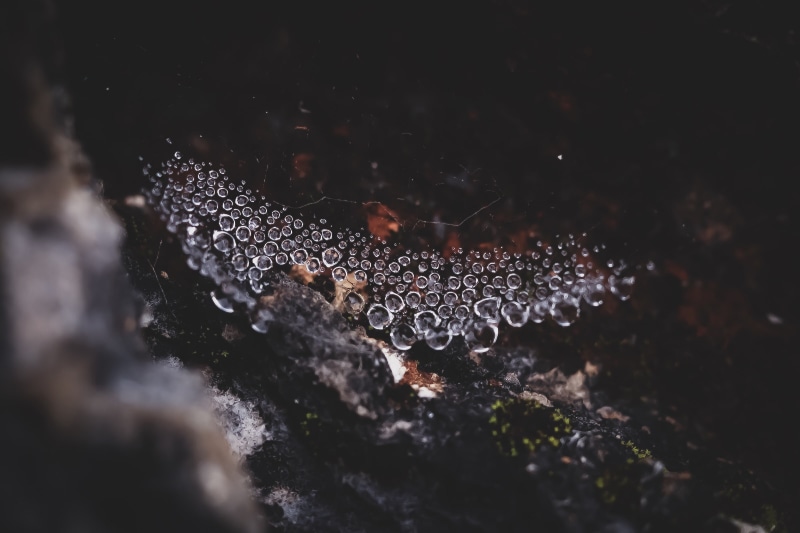 spiderwebs, bokeh, dew, 1080P, water drops, water, nature, rocks