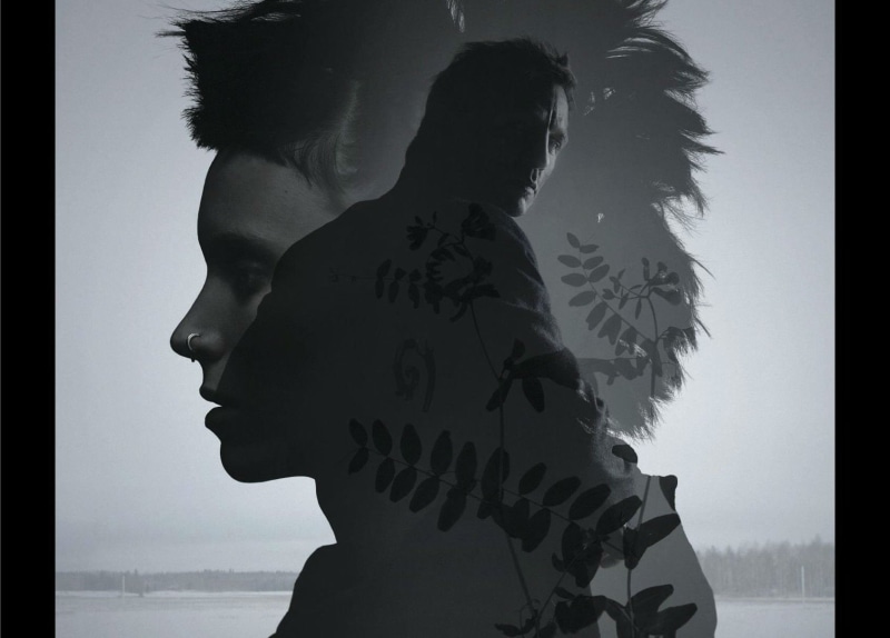 series, hornets, girl, millenium, thriller, sci-fi, mystery, 1gwpwf, drama, tattoo, crime, fantasy, 720P, dragon, nest