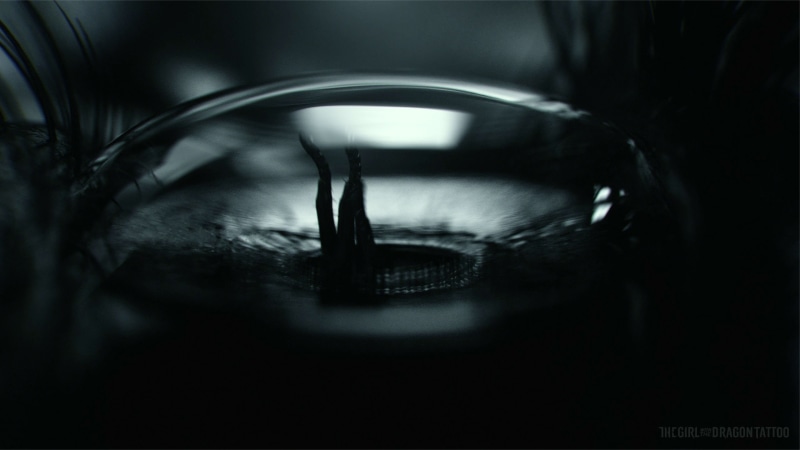 crime, nest, girl, tattoo, dark, horror, sci-fi, drama, eye, mystery, series, hornets, fantasy, thriller, 1gwpwf, dragon, millenium, 2K