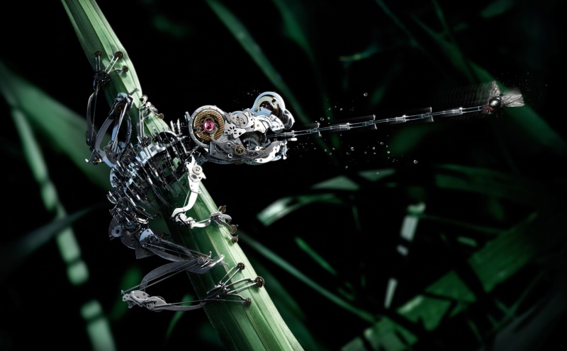 day, twig, focus on foreground, selective focus, frog, animal themes, invertebrate, illustration, close-up, no people, insect, water, animal wildlife, 4K