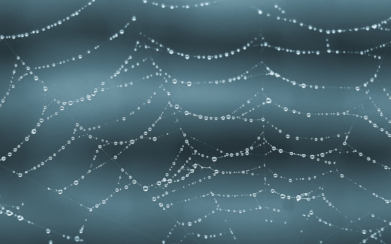 beauty in nature, beaded, 720P, pattern, black background, nature, black, backgrounds, wet, spider web, necklace, concentric, raindrop, complexity, spiderwebs