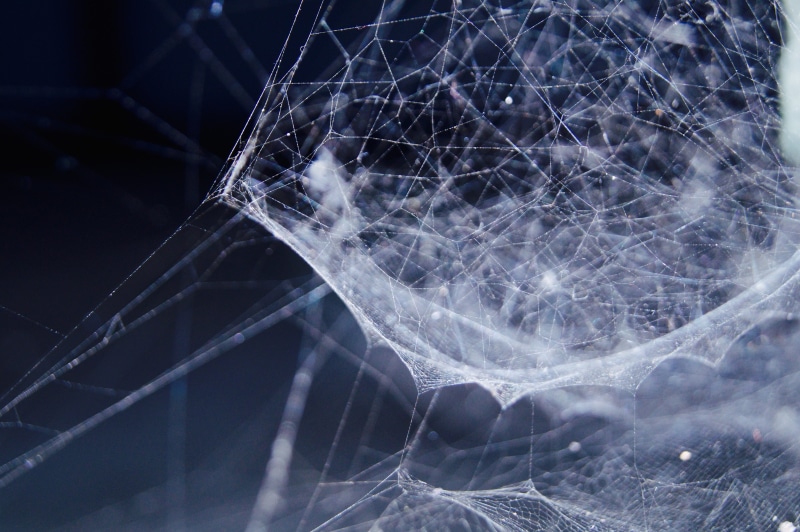 4K, broken, no people, breaking, web, ruined, network, abstract, damaged, destruction, spider web, close-up, cracked, fragility, misfortune, window, complexity