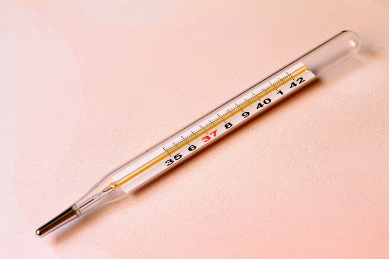 single object, no people, cut out, fever, close-up, ruler, scale, colored background, office supply, metal, healthcare and medicine, thermometer, steel