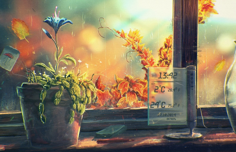 flower pot, text, glass - Material, message, non-western script, growth, architecture, flower, western script, plant, communication, 1080P, day, sill