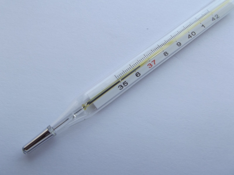 disease, measurement, ruler, scale, mercury, bless you, sharp, instrument of measurement, indoors, number, accuracy, table, sick, medication, close-up