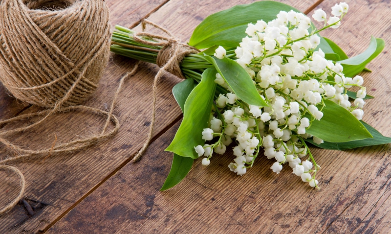 blossom, petal, season, flowers, table, leaf, flower Head, decoration, yellow, flower, tulip, plant part, wood - Material, food, wellbeing, lily-of-the-valley