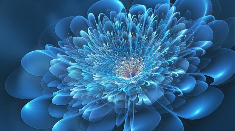 720P, no people, digital composite, technology, fiber optic, marine, nature, studio shot, close-up, communication, blue, digital art, pattern, flowers