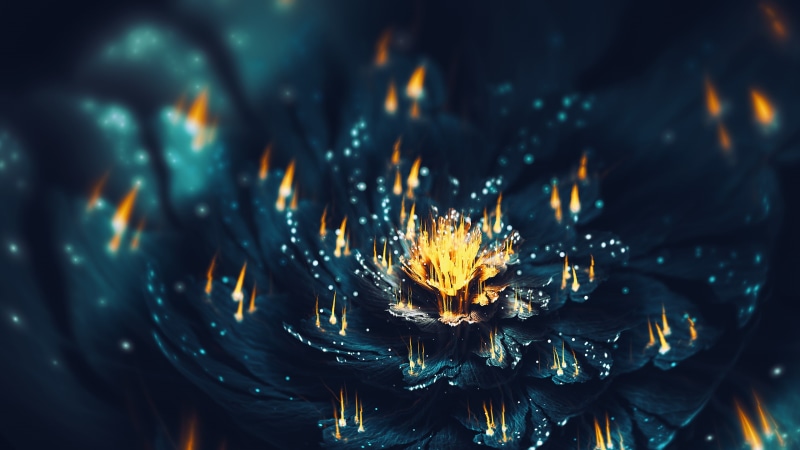 growth, beauty in nature, fractal flowers, digital art, nature, flowering plant, light, event, 3D Abstract, illuminated, wet, dusk, celebration, plant
