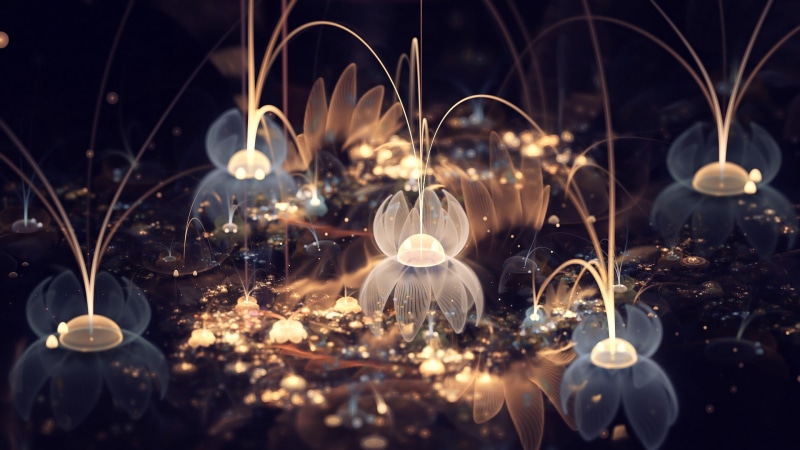 indoors, photo, christmas, celebration, abstract, no people, burning, glowing, white, illuminated, night, brown, light, fire, decoration, nature, selective focus