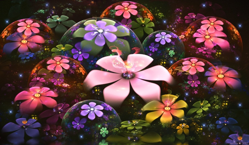 night, celebration, no people, fractal flowers, pattern, outdoors, beauty in nature, 1080P, variation, holiday, flowers, fragility, multi colored, freshness
