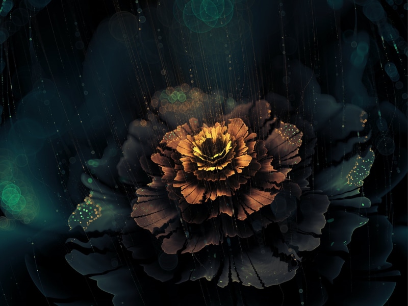pollen, vulnerability, water, flower head, dark, plant, fractal flowers, no people, flower arrangement, fragility, nature, inflorescence, 1080P, digital art