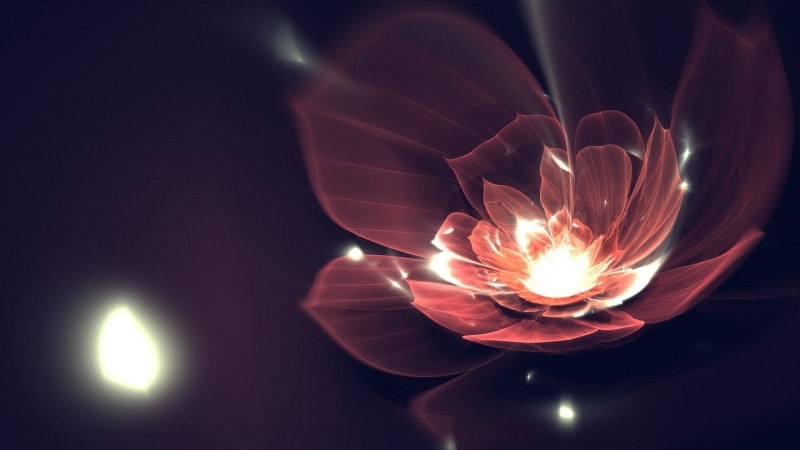 fire, fire - natural phenomenon, flowers, human body part, human hand, heat - temperature, hand, glowing, indoors, illuminated, fractal flowers, lighting equipment