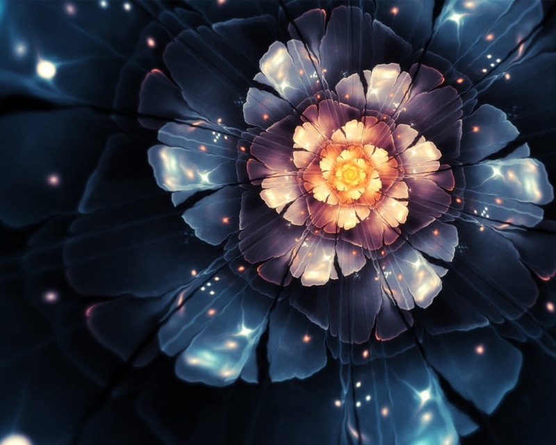 nature, close-up, lighting equipment, abstract, digital composite, flowering plant, floral pattern, indoors, vulnerability, beauty in nature, white, fractal