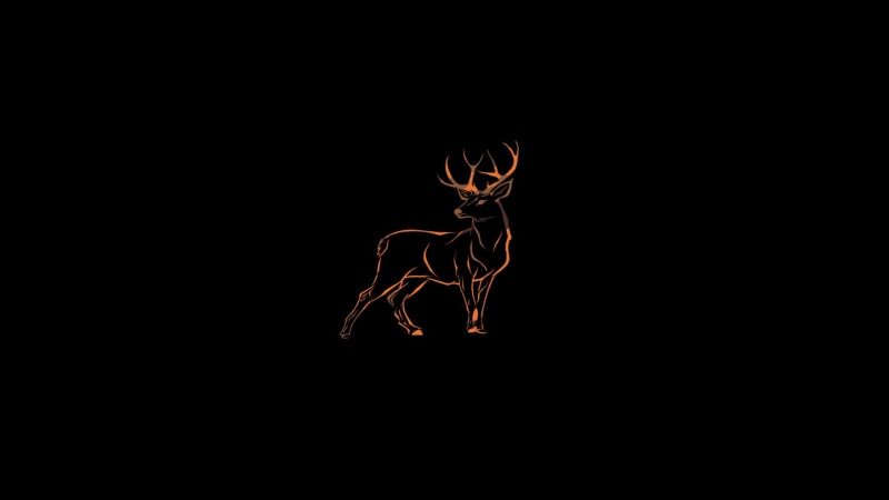 animal, one animal, long exposure, mammal, night, animal wildlife, animal themes, black background, light painting, copy space, pattern, indoors, glowing