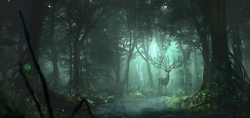 land, tranquil scene, nature, rainforest, no people, beauty in nature, growth, day, outdoors, green color, tranquility, fog, tree, 1080P, idyllic, tree trunk