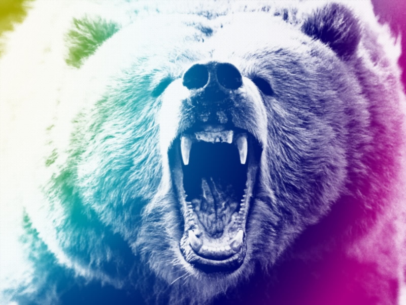 bear, 720P, hd, animals, grizzly