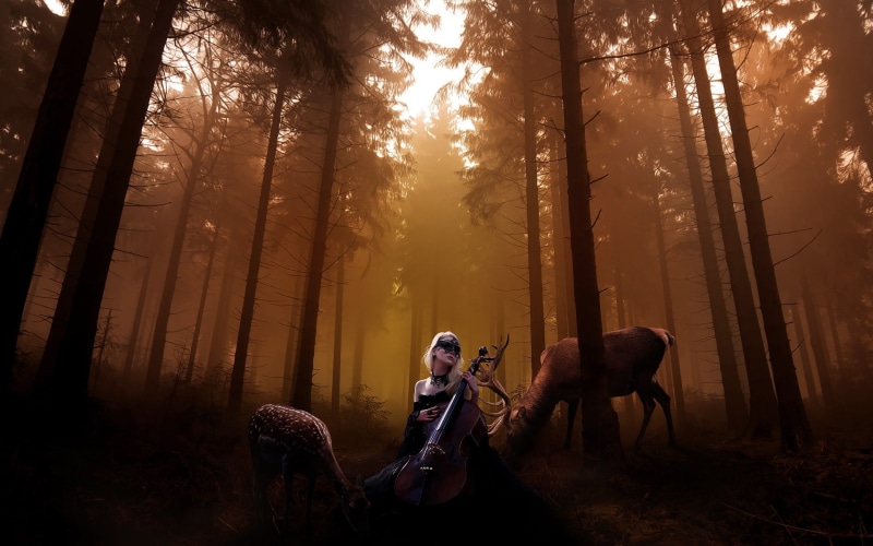 anime, unchained, character, stag, deer, melody, 1080P