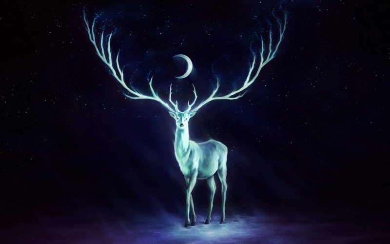 white, horn, 2560x1600, reindeer, moon, 2K, deer, fantasy, illustration, night, walking